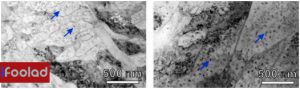 تصاویر میکروسکوپ الکترونی عبوری زمینه روشن از فولاد مارایجینگ